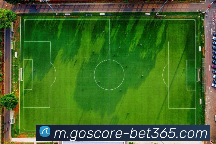 App Interface Preview